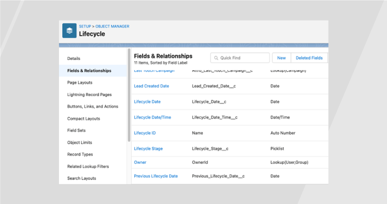 Lifecycle Stage Custom Object